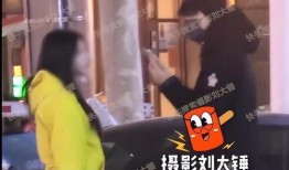 刘大锤爆料朱志鑫视频在线观看,独家在线观看解析