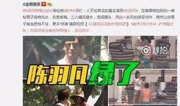 卖惨夫妻爆料视频大全集,揭秘现实生活中的心酸与无奈