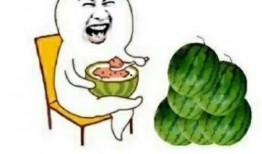 有什么娱乐圈瓜可以吃,揭秘明星幕后故事与精彩瞬间